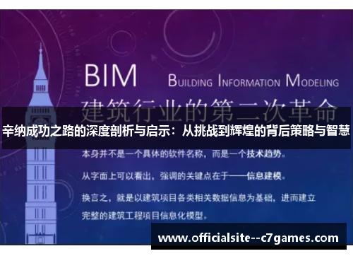 辛纳成功之路的深度剖析与启示：从挑战到辉煌的背后策略与智慧